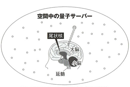 量子サーバー